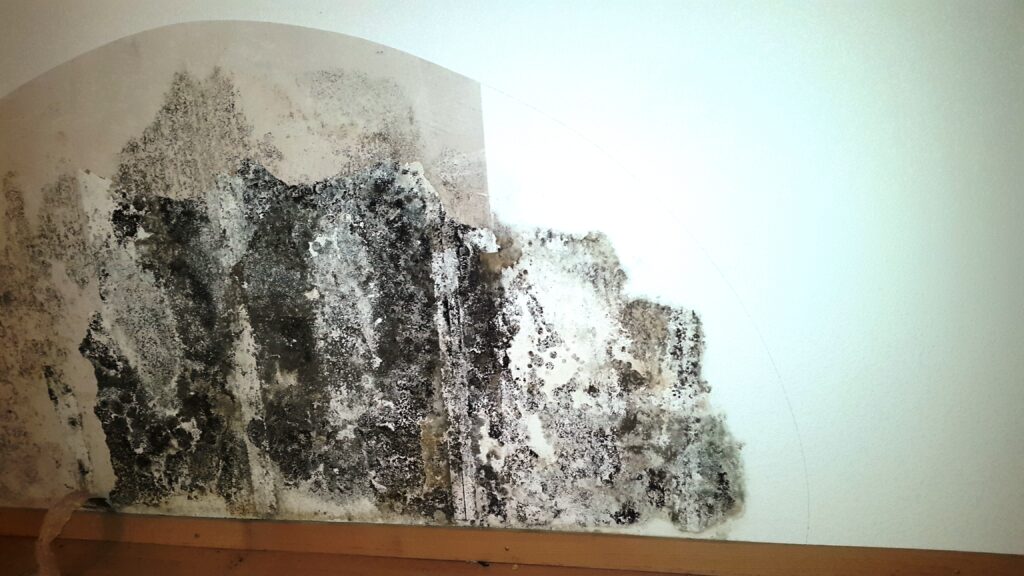 Schimmelbefall an der Wand